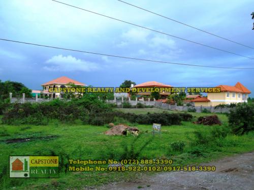 FOR SALE: Lot / Land / Farm La Union 4