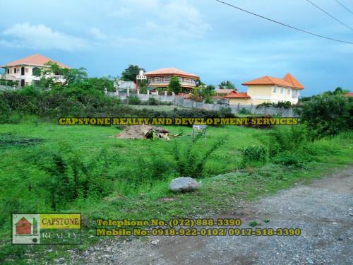 FOR SALE: Lot / Land / Farm La Union 5