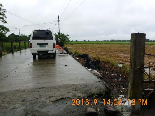 FOR SALE: Lot / Land / Farm Pangasinan 2