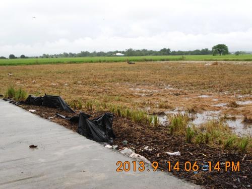 FOR SALE: Lot / Land / Farm Pangasinan 4