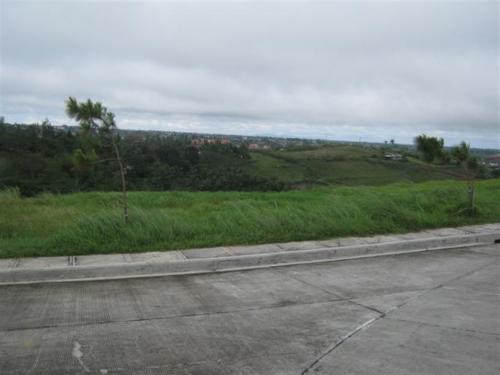 FOR SALE: Lot / Land / Farm Cavite 3