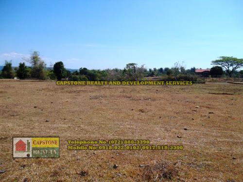 FOR SALE: Lot / Land / Farm La Union