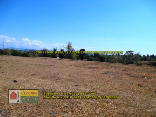 FOR SALE: Lot / Land / Farm La Union 1