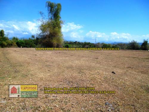 FOR SALE: Lot / Land / Farm La Union 2