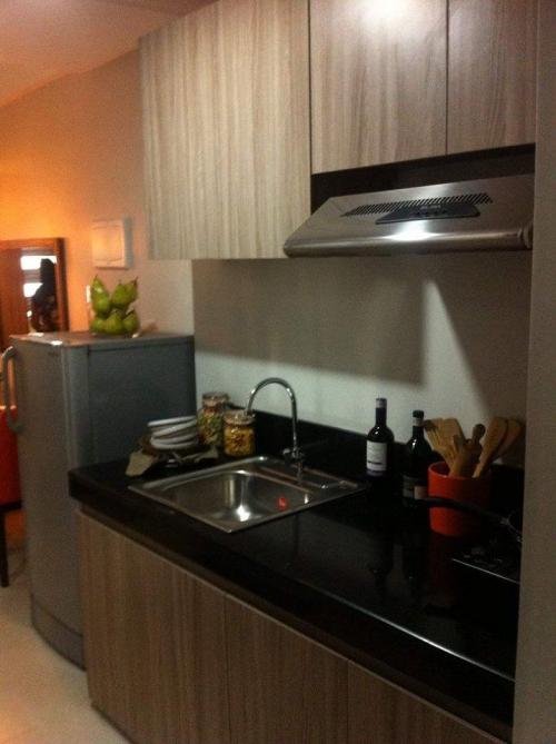 FOR SALE: Apartment / Condo / Townhouse Manila Metropolitan Area > Pasig 3