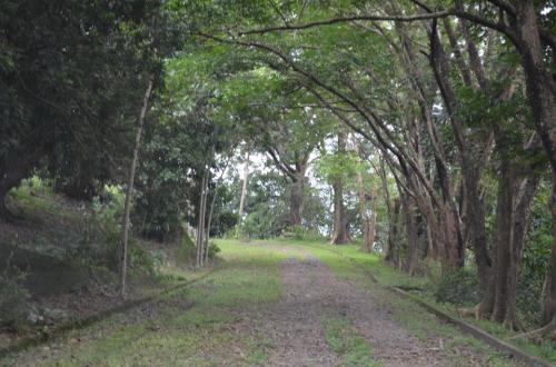 FOR SALE: Lot / Land / Farm Rizal > Other areas 7