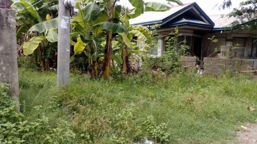 FOR SALE: Lot / Land / Farm Cebu