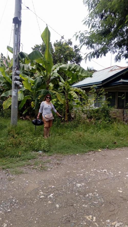 FOR SALE: Lot / Land / Farm Cebu 3