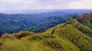 FOR SALE: Lot / Land / Farm Quezon > Other areas 2