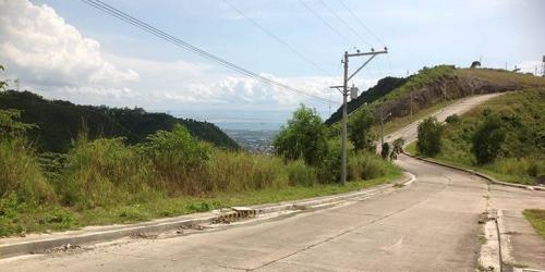 FOR SALE: Lot / Land / Farm Cebu 6