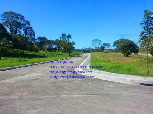 FOR SALE: Lot / Land / Farm Tagaytay 2