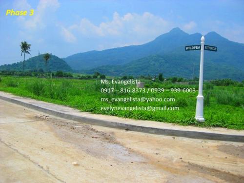 FOR SALE: Lot / Land / Farm Batangas 2