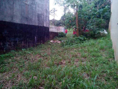 FOR SALE: Lot / Land / Farm Tagaytay