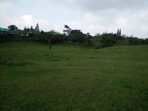 FOR SALE: Lot / Land / Farm Tagaytay