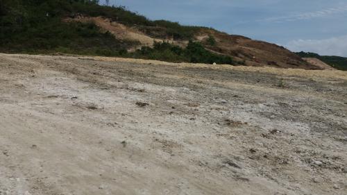 FOR SALE: Lot / Land / Farm Cebu 6