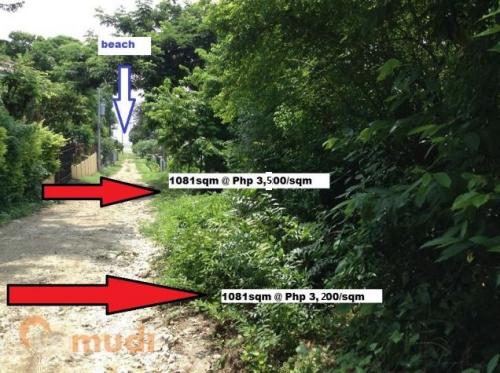 FOR SALE: Lot / Land / Farm Batangas