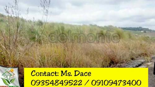 FOR SALE: Lot / Land / Farm Rizal 2