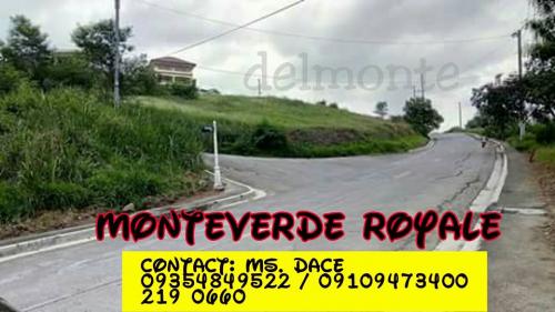 FOR SALE: Lot / Land / Farm Rizal