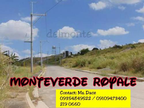 FOR SALE: Lot / Land / Farm Rizal 2