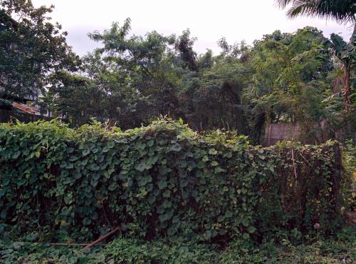 FOR SALE: Lot / Land / Farm Rizal > Antipolo