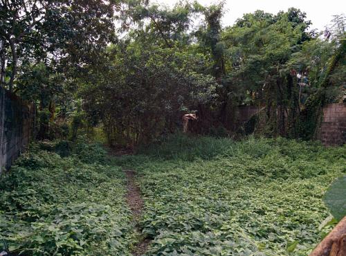 FOR SALE: Lot / Land / Farm Rizal > Antipolo 1