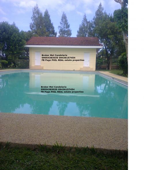 FOR SALE: Lot / Land / Farm Tagaytay 4