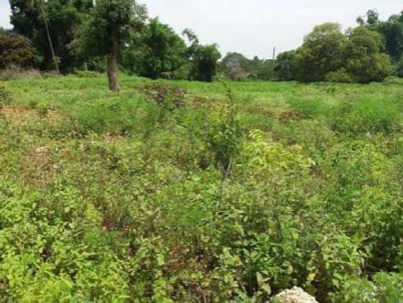 FOR SALE: Lot / Land / Farm Misamis Oriental > Cagayan de Oro City 1