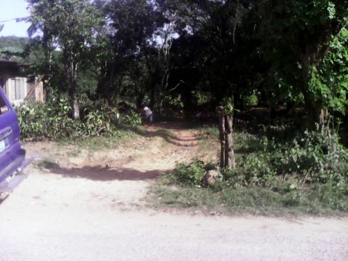 FOR SALE: Lot / Land / Farm Cebu 2