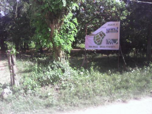 FOR SALE: Lot / Land / Farm Cebu 3