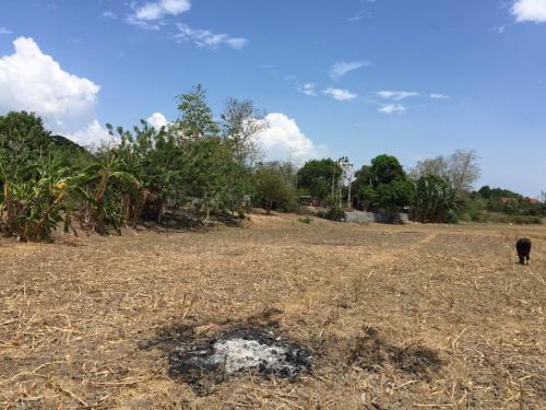 FOR SALE: Lot / Land / Farm La Union 2