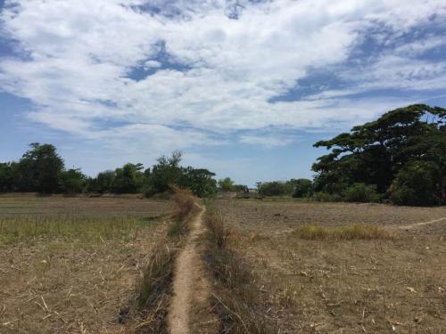 FOR SALE: Lot / Land / Farm La Union 3
