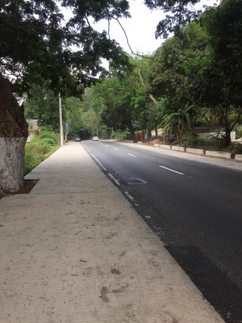 FOR SALE: Apartment / Condo / Townhouse La Union 3