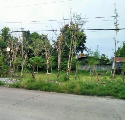 FOR SALE: Lot / Land / Farm Manila Metropolitan Area > Caloocan