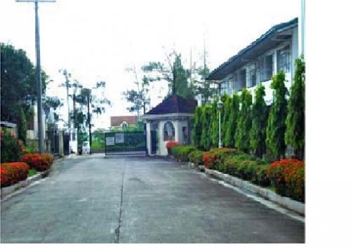 FOR SALE: Lot / Land / Farm Nueva Ecija > Cabanatuan