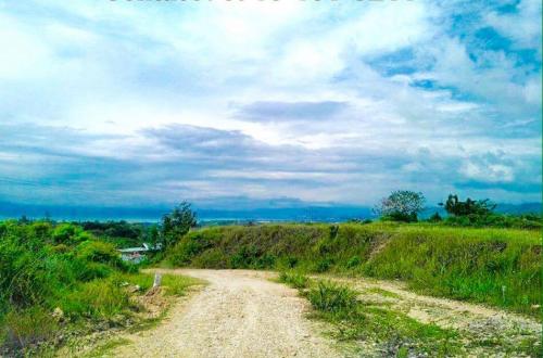 FOR SALE: Lot / Land / Farm Cebu > Other areas 2