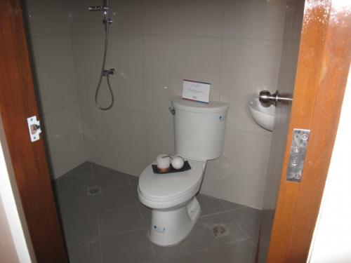 FOR SALE: Apartment / Condo / Townhouse Manila Metropolitan Area > Quezon 5