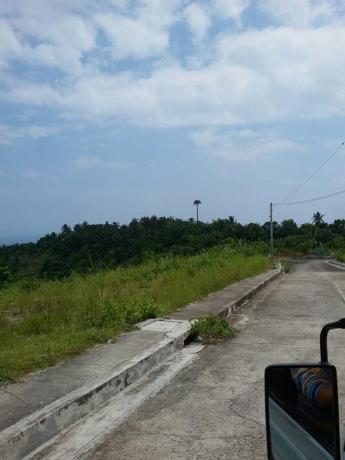 VISTA GRANDE RESIDENTIAL ESTATES is a prime residential area overlooking Talisay City, carefully master-planned community, with Multi-purpose Clubhouse, Basketball Court, Swimming Pool, Parks