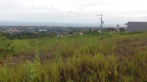 FOR SALE: Lot / Land / Farm Cebu > Cebu City 4