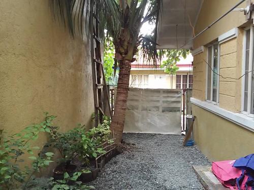 Parking, note: the coconut is no longer there.