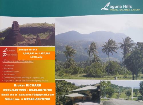 FOR SALE: Apartment / Condo / Townhouse Laguna > Calamba 1