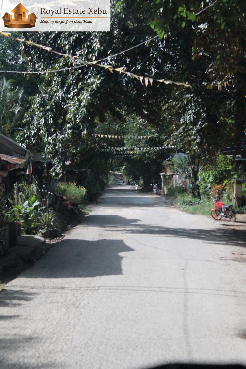 FOR SALE: Lot / Land / Farm Cebu > Other areas 1