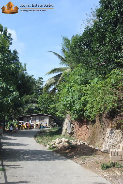 FOR SALE: Lot / Land / Farm Cebu > Other areas 2