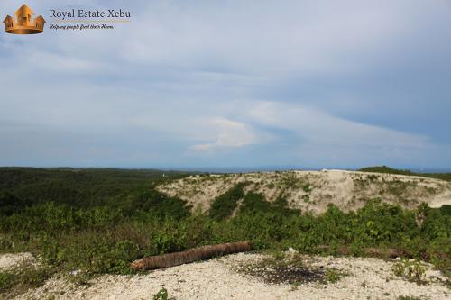 FOR SALE: Lot / Land / Farm Cebu > Other areas 3