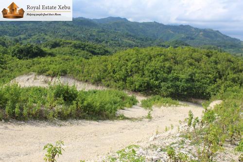 FOR SALE: Lot / Land / Farm Cebu > Other areas 4