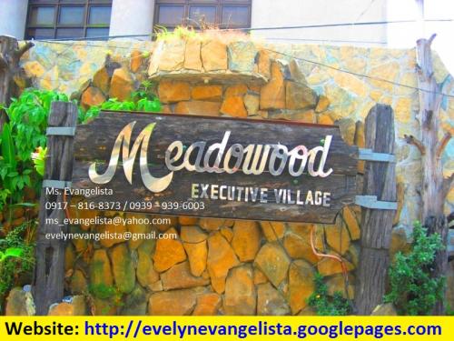 FOR SALE: Lot / Land / Farm Cavite > Bacoor