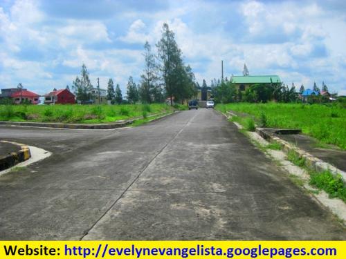 FOR SALE: Lot / Land / Farm Cavite > Dasmarinas 6