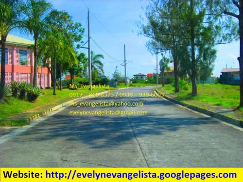 FOR SALE: Lot / Land / Farm Cavite > Dasmarinas 4