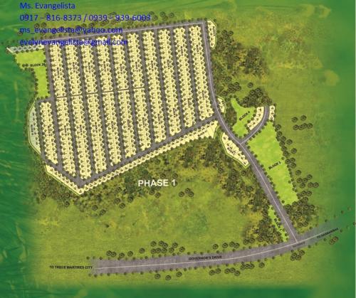 FOR SALE: Lot / Land / Farm Cavite 6