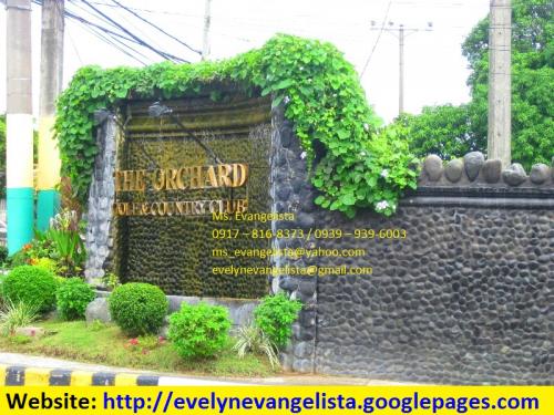 FOR SALE: Lot / Land / Farm Cavite > Dasmarinas 1
