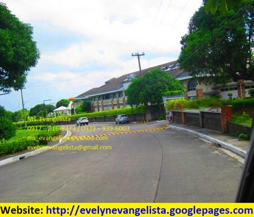 FOR SALE: Lot / Land / Farm Cavite > Dasmarinas 3
